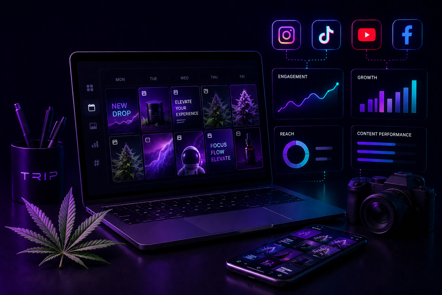 Cannabis social media marketing &mdash; organic strategy, content production, community management, and influencer campaigns on Instagram, TikTok, X, and LinkedIn for cannabis brands