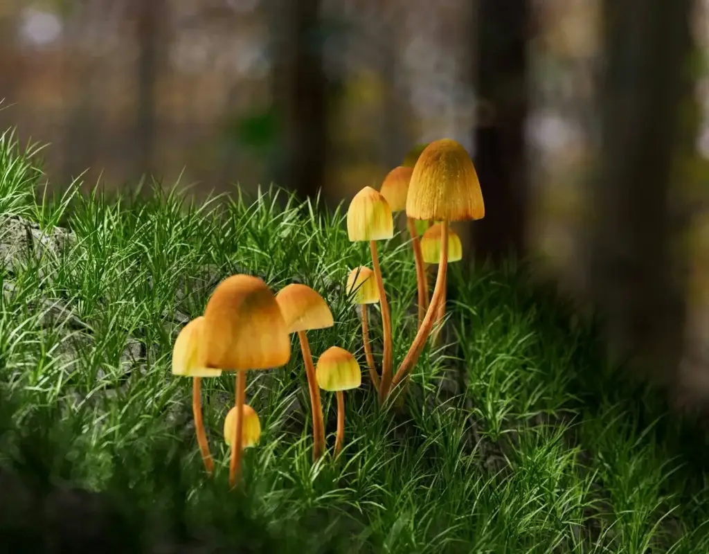 Psilocybin Marketing