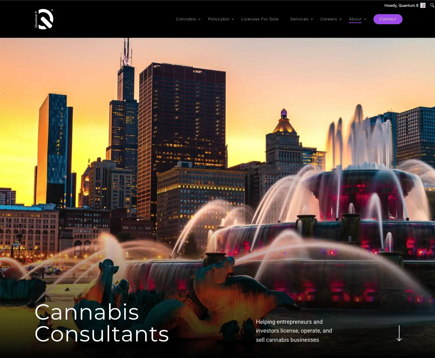 Quantum 9 website home screen